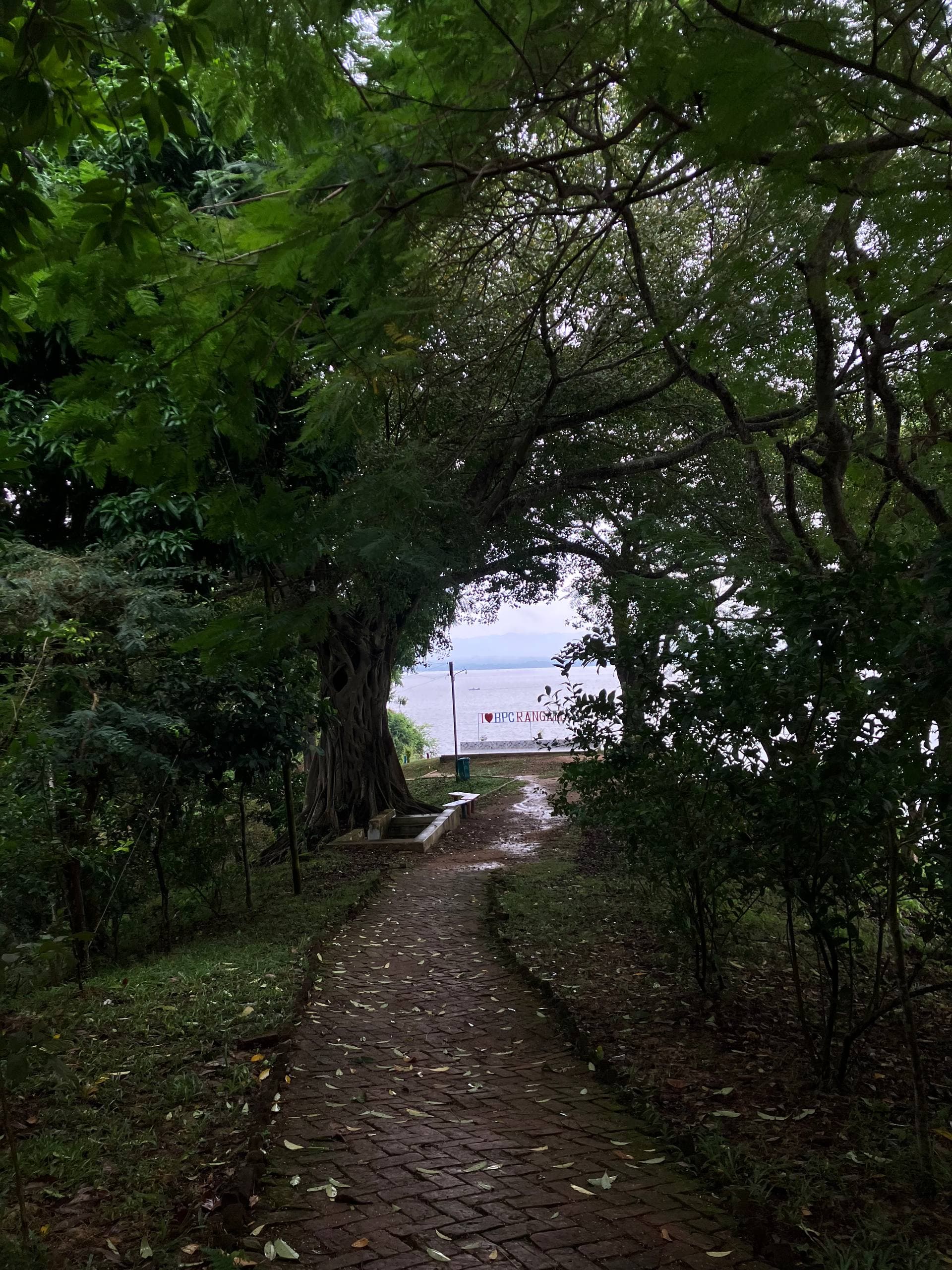 Road to Kaptai