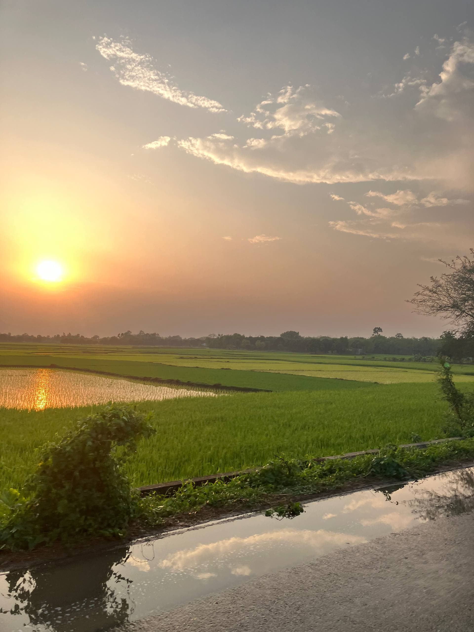 Rajshahi